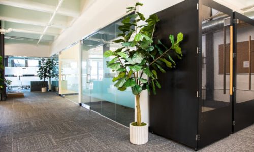 Office Renovations Cape Town