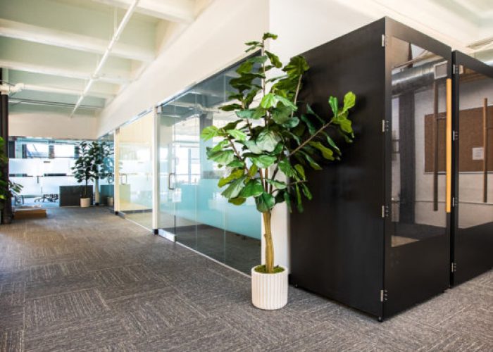 Office Renovations Cape Town