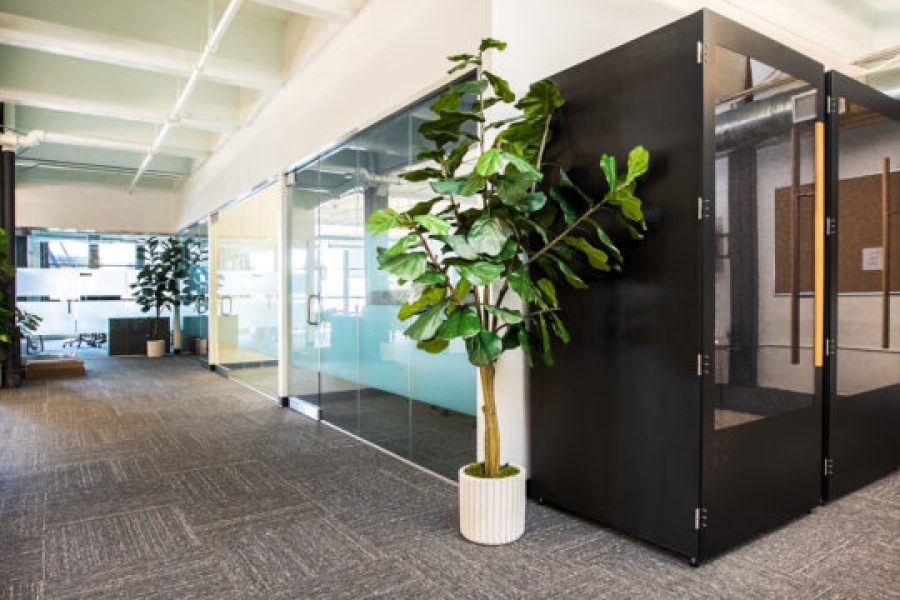 Office Renovations Cape Town