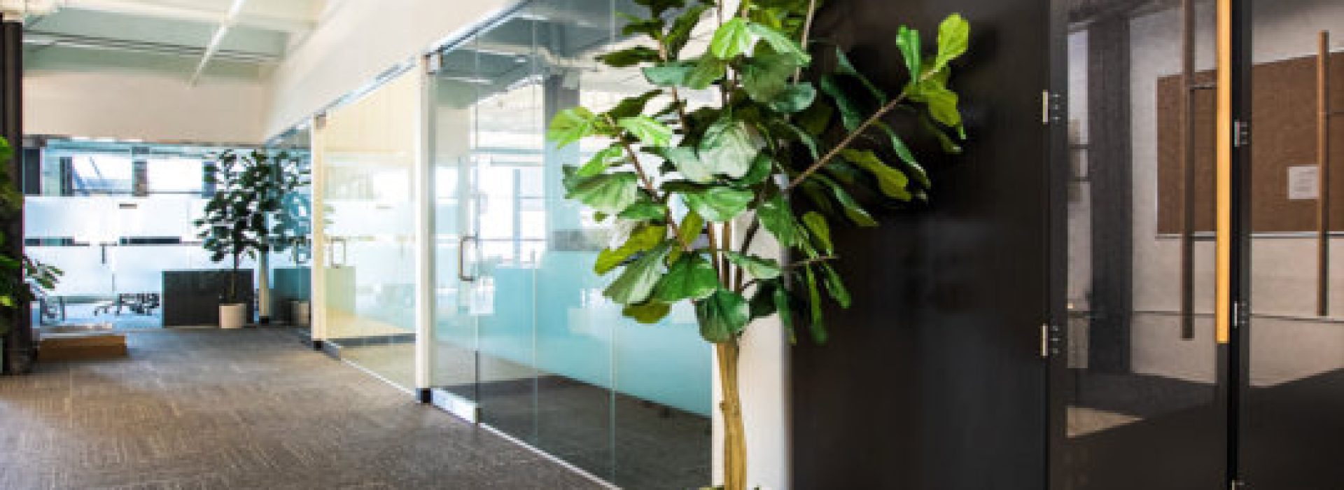 Office Renovations Cape Town