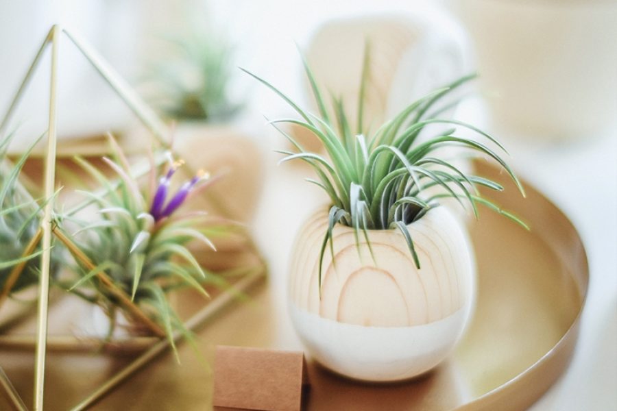 Office Interior Design